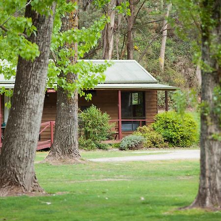Beechworth Holiday Park Exterior foto