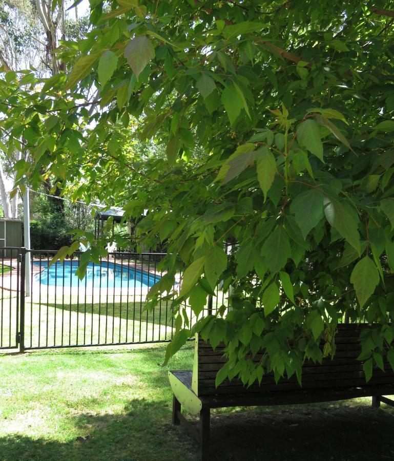 Beechworth Holiday Park Exterior foto