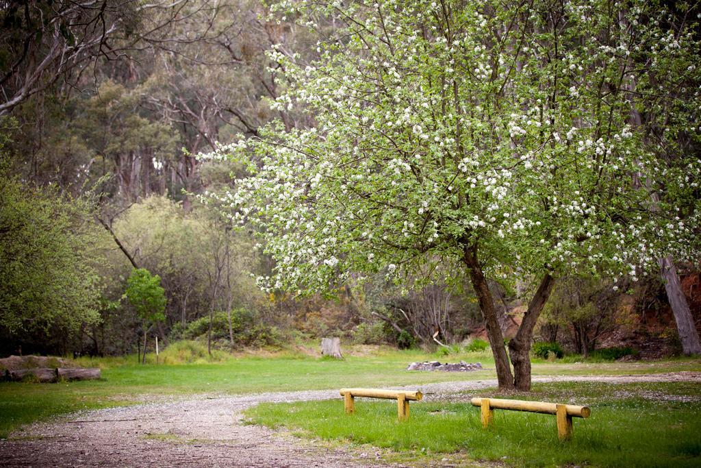 Beechworth Holiday Park Exterior foto